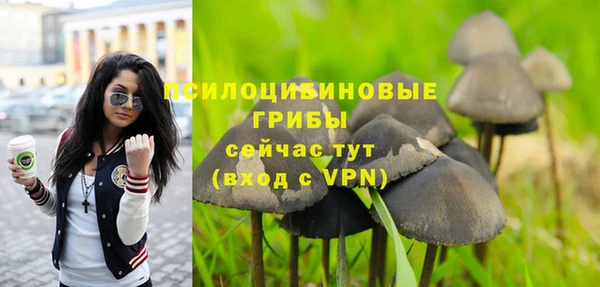 дживик Абинск