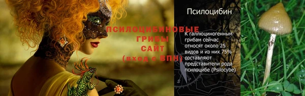 дживик Абинск