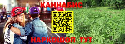прущие грибы Владикавказ