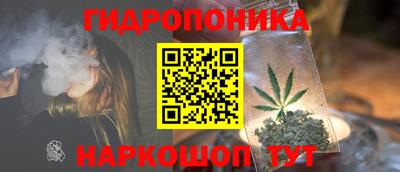 прущие грибы Владикавказ