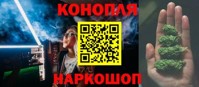 прущие грибы Владикавказ