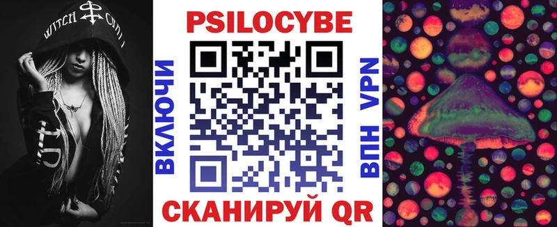 Псилоцибиновые грибы Cubensis  закладки  Владимир 