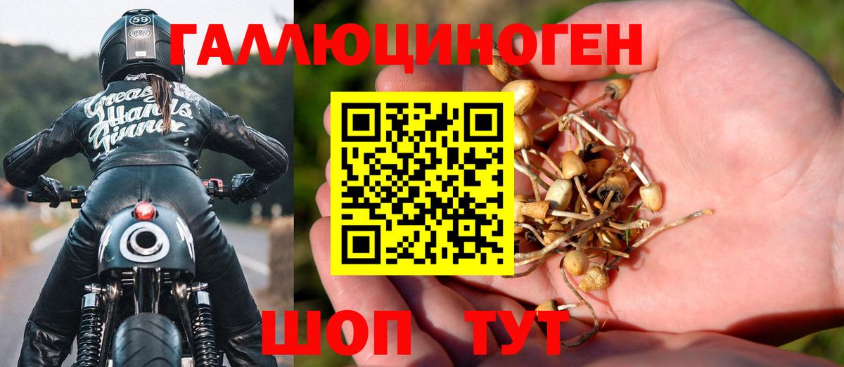 Псилоцибиновые грибы GOLDEN TEACHER  Галлюциногенные грибы ЛСД  Вход с VPN  Владимир 